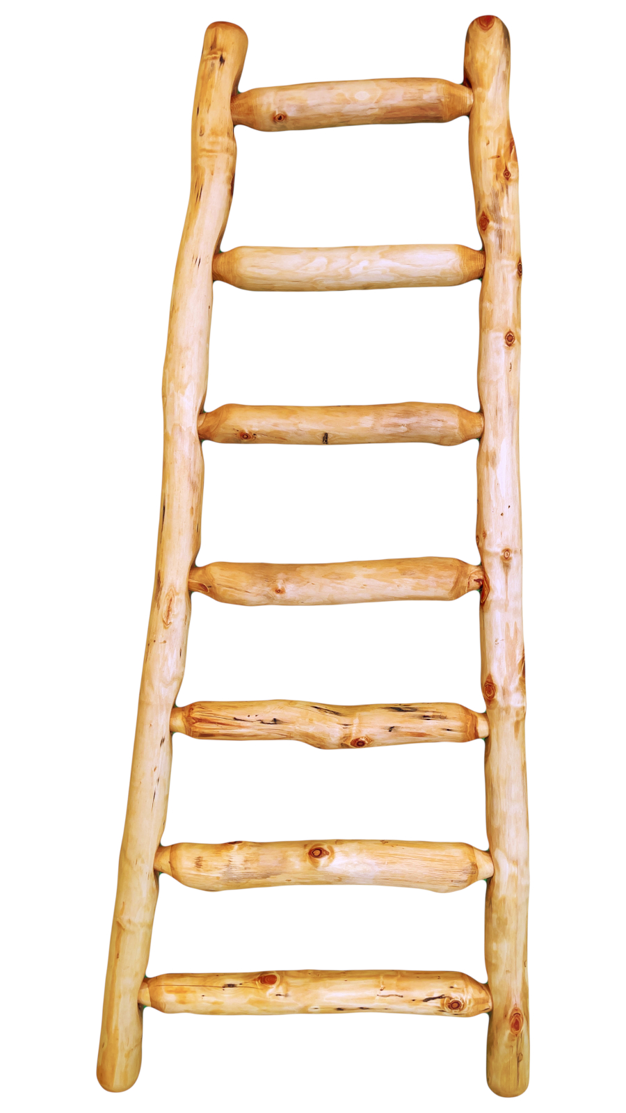 Kiva Ladder